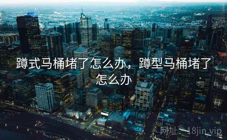 蹲式马桶堵了怎么办，蹲型马桶堵了怎么办  第2张