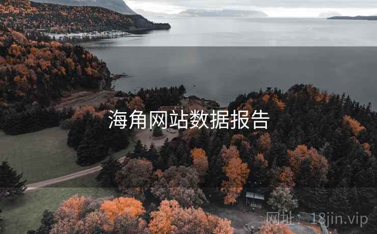 海角网站数据报告  第2张