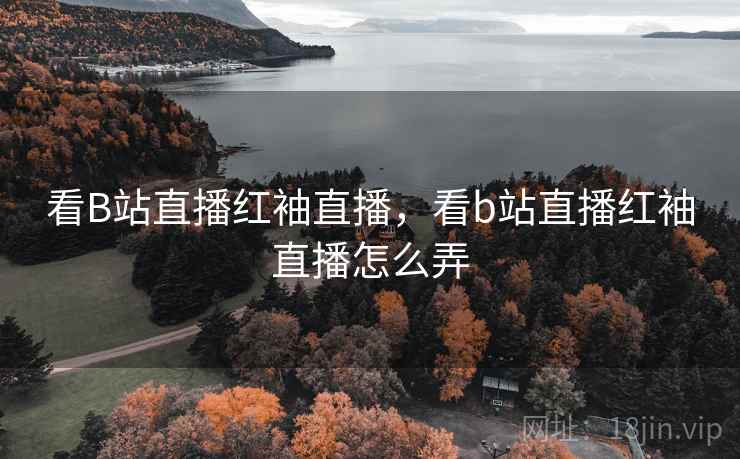 看B站直播红袖直播，看b站直播红袖直播怎么弄  第3张