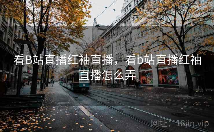 看B站直播红袖直播，看b站直播红袖直播怎么弄  第4张